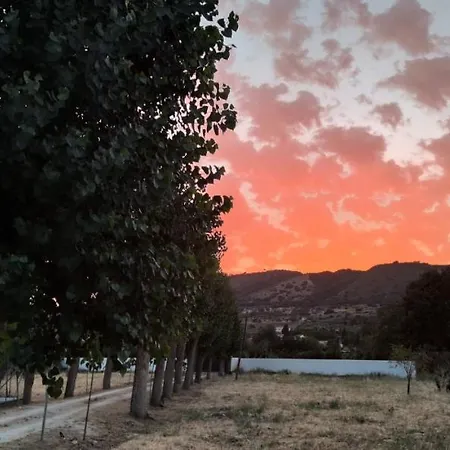 Aljara *