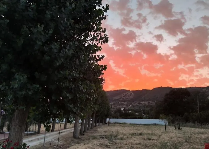 Aljara *